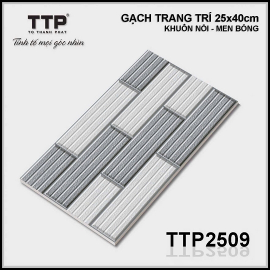 gạch 25 x 40 - 2509