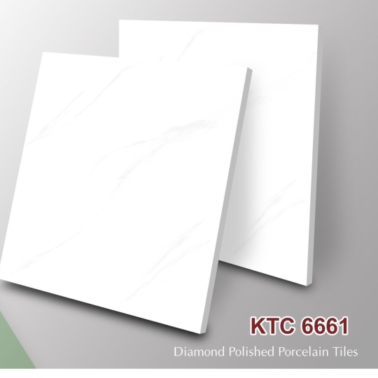 gạch 60*60 KTC661
