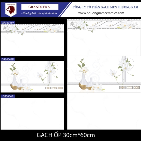gạch 30 x 60