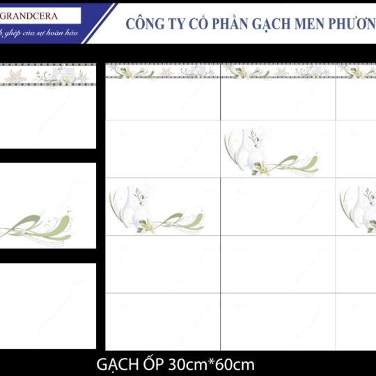 gạch 30*60 (36051)