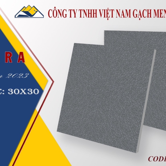 gạch 30x 30 HL3309S