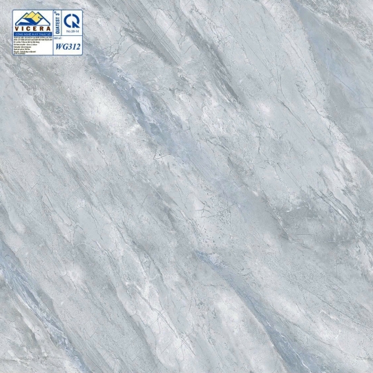 GẠCH 30 X 30 WG312