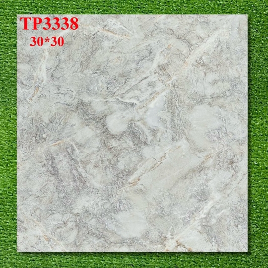GẠCH 30 X 30 TP3338