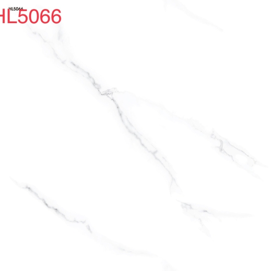 GẠCH 50 X 50 HL5066