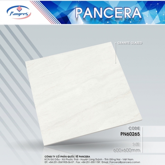 gạch 60 x 60  PN60265