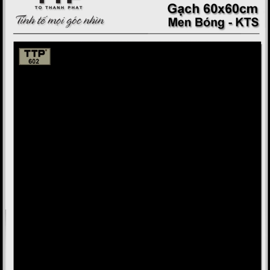 gạch 60 x 60 - ttp602