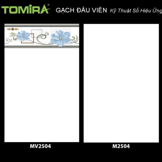 gạch 25 x 40 M2504