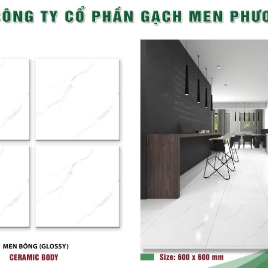 gạch 60 x 60 - 60003